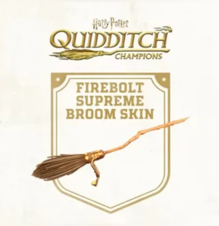 Harry Potter: Quidditch Champions - Pre-order Bonus DLC EU (without DE) PS4 CD Key