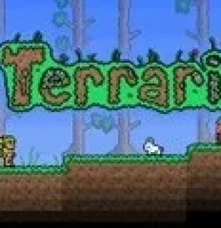 Terraria GOG CD Key