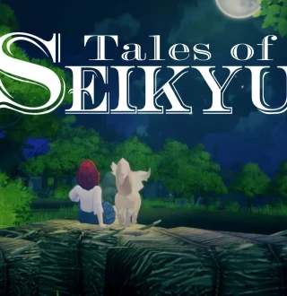 Tales of Seikyu PC Steam Account