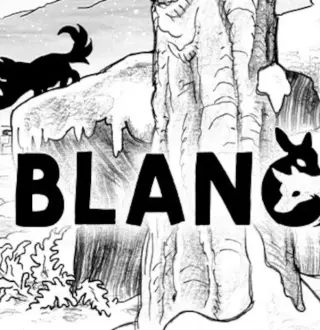 Blanc EU PC Steam CD Key