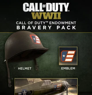 Call of Duty: WWII - Call of Duty Endowment Bravery Pack DLC US PC Steam CD Key