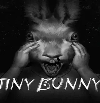 Tiny Bunny PC Steam Account