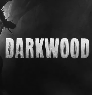 Darkwood EU PC Steam Altergift