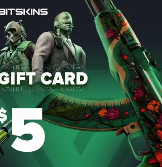 BitSkins.com $5 USD Gift Card