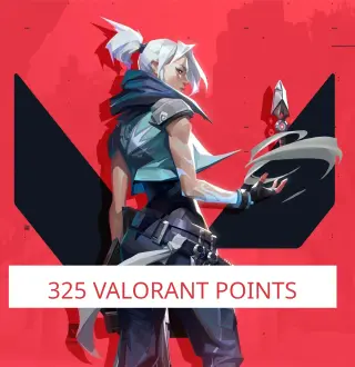 VALORANT - 325 Valorant Points Gift Card NZ