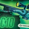 CSGO.NET €10 Gift Card