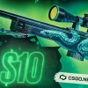 CSGO.NET $10 Gift Card