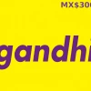 Gandhi MX$300 MX Gift Card