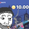 Skinwaste 10 Coins Gift Card