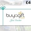 Buyagift GBP 45 Gift Card UK