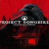 Project Songbird PC Steam CD Key
