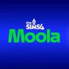 The Sims 4 - 1000 Moola DLC PC EA App CD Key