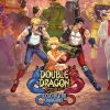Double Dragon Gaiden: Rise Of The Dragons EU Nintendo Switch CD Key