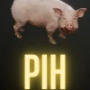 Pih PC Steam CD Key
