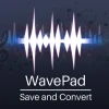NCH: WavePad Audio Editing: v13 Master's Edition Key