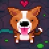 Fidel Dungeon Rescue PC Steam CD Key