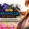 Chronicles of Magic: Divided Kingdom PC Steam CD Key