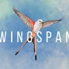 Wingspan Steam Altergift