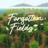 Forgotten Fields Steam CD Key