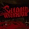 Shadow Warrior Steam Gift
