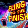 Fling to the Finish PC Steam CD Key