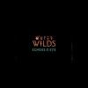 Outer Wilds - Echoes of the Eye DLC EU v2 Steam Altergift