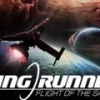 Ring Runner: Flight of the Sages Steam CD Key