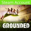 Grounded PC Steam Account