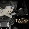 The Talos Principle AR XBOX One / Xbox Series X|S CD Key