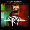 Stray Steam Account
