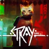 Stray US PC Steam CD Key