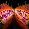 Weapon of Choice EU PC Steam CD Key