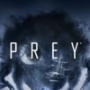 Prey PS4/PS5 Account