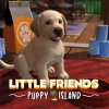 Little Friends: Puppy Island PC Steam Account