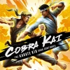Cobra Kai: The Karate Kid Saga Continues EU PC Steam CD Key