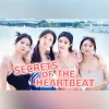 Secrets of the Heartbeat PC Steam Account