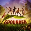 Grounded PS4/PS5 Online Account Activation