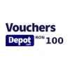 VouchersDepot.com RON 100 Gift Card RO