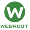 Webroot SecureAnywhere AntiVirus 2024 Key (1 Year / 3 Devices)