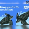 Save a sea-turtle hatchling $1 Gift Card US