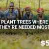 Plant trees where needed most $5 Gift Card US