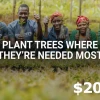 Plant trees where needed most $20 Gift Card US