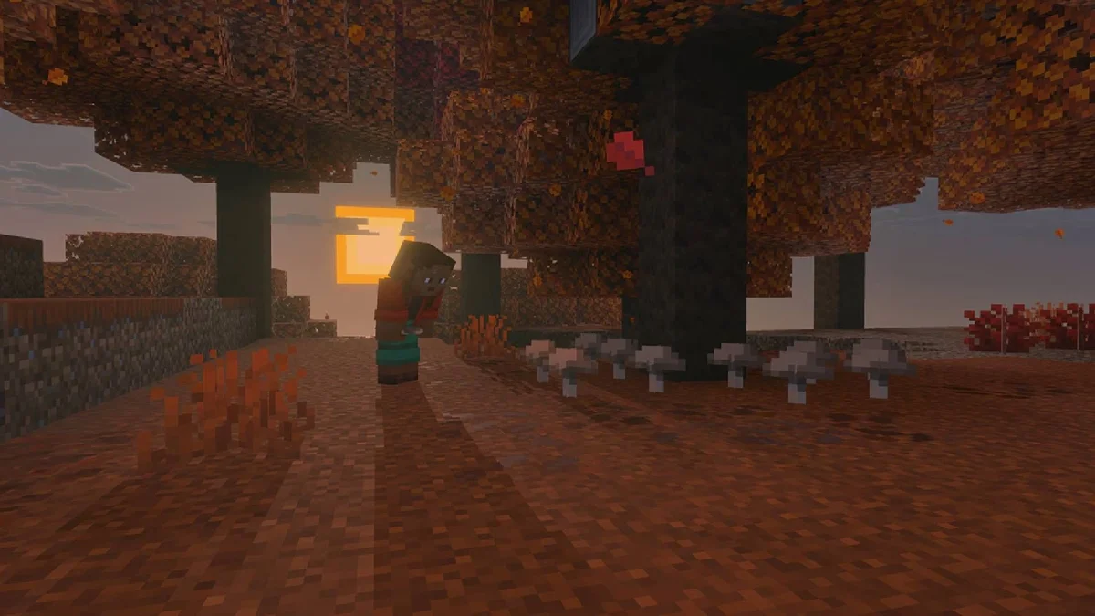 Minecraft Dappled Forest 2026 : guide complet du nouveau biome