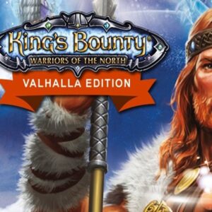 King's Bounty: Warriors of the North Valhalla Edition Steam CD Key