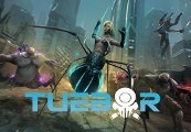 Tuebor: I Will Defend Steam CD Key