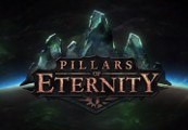 Pillars of Eternity Champion Edition Steam CD Key