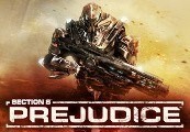 Section 8: Prejudice Steam CD Key