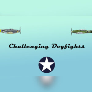 Challenging Dogfights Steam CD Key