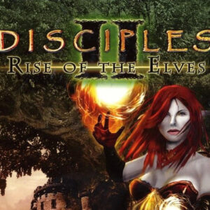 Disciples II: Rise of the Elves Steam CD Key