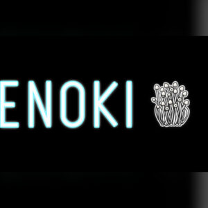 Enoki Steam CD Key